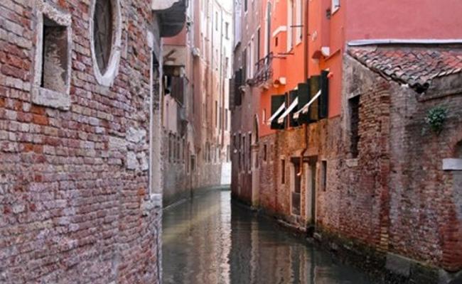 Us laoreet dignissim vel.